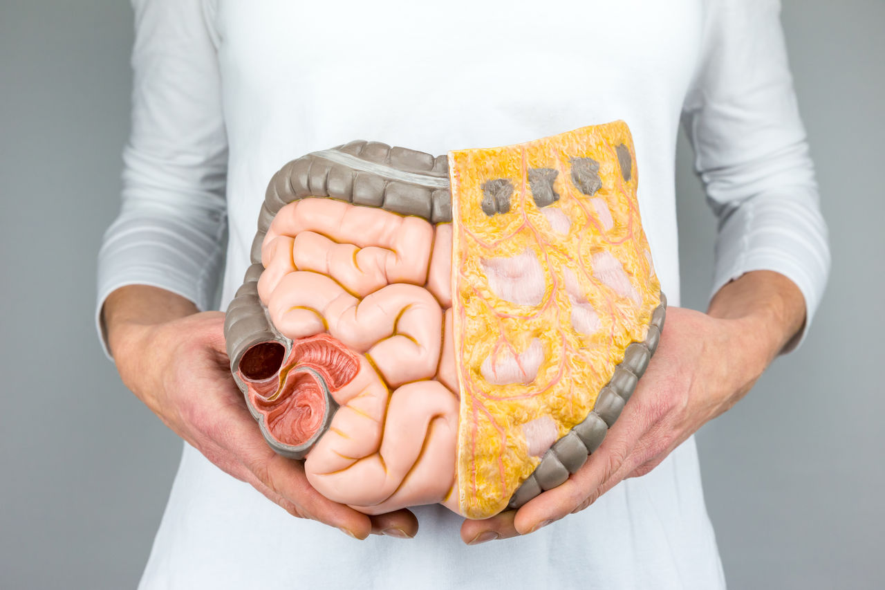 Woman holding model of human intestines in front of body